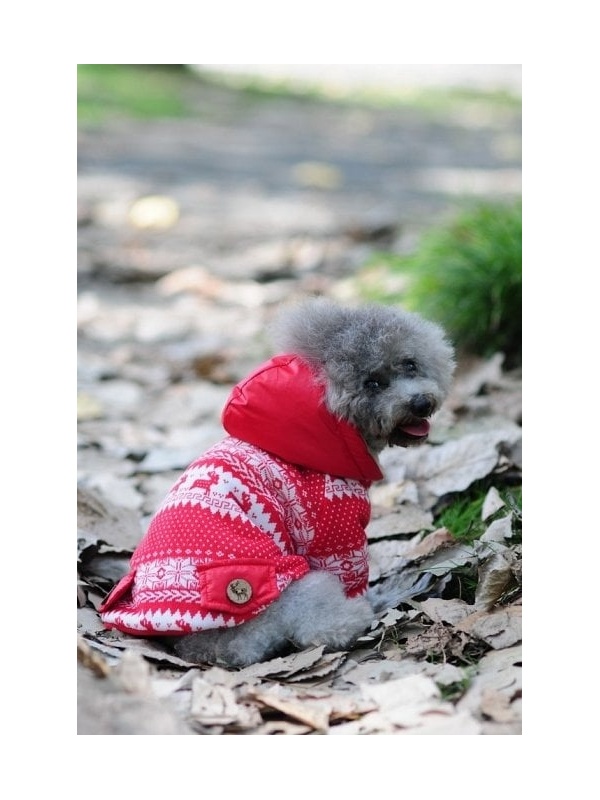 Pulover captusit - Ande - M