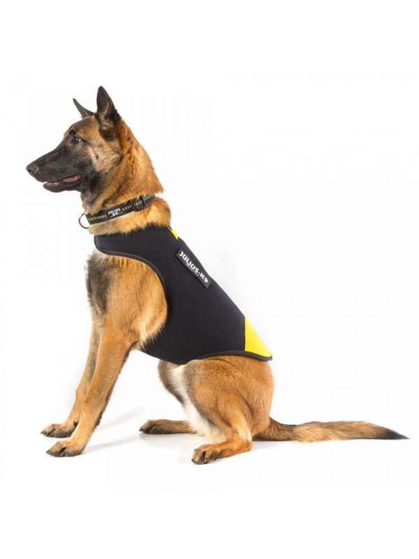 Vesta neopren Julius K9 - S - Galben