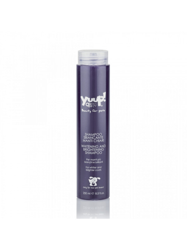 Sampon Yuup Home White - 250ml
