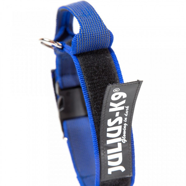 Zgarda Julius K9, cu maner, nylon - 50mm - Albastru