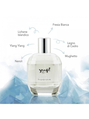 Parfum Yuup Arctic - 100ml - Img 2