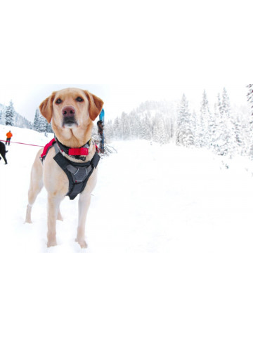 Protectie ham Ruffwear - XS - Twilight Gray