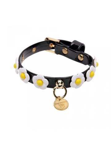 Zgarda Daisy - 25cm - Negru