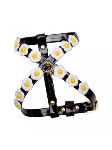 Ham Daisy - XXS - Negru