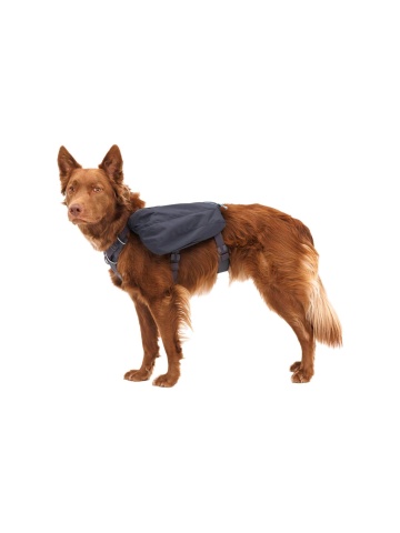 Rucsac caini Front Range Day Pack Ruffwear - L-XL - Basalt Gray - Img 2