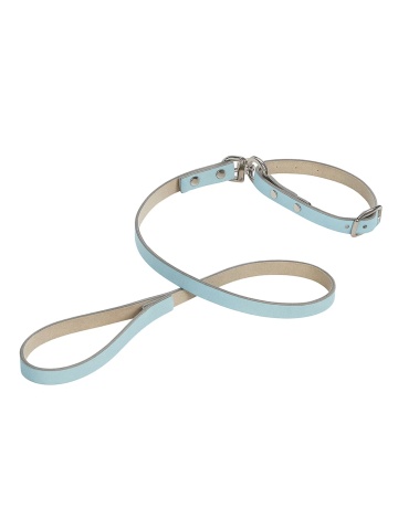 Set - Lesa + Zgarda piele Pastel - 10mm x 1m x 26-32 cm