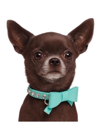 Zgarda Lizzy Plus 20cm - Tiffany