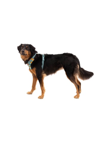 Ham Front Range Ruffwear - L-XL - Spring Mountains - Img 5