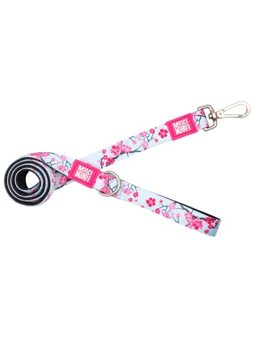 Lesa Max & Molly - M - Cherry Bloom
