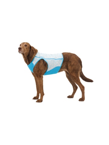 Veste de racire Swamp Cooler Zip - Ruffwear - Biolumin Blue - L - Img 3