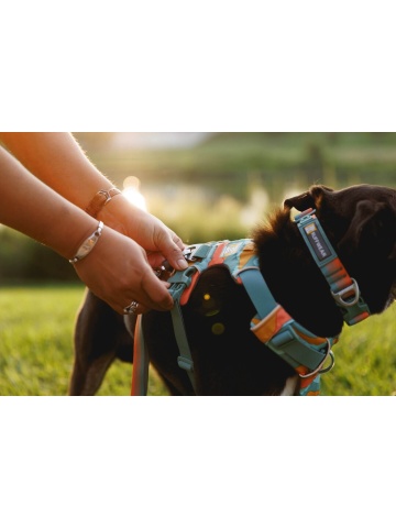 Ham Front Range Ruffwear - L-XL - Spring Mountains - Img 6