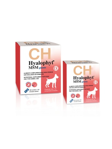 Hyalophyt MSM Giants - Supliment pentru articulatii - 30cpr.