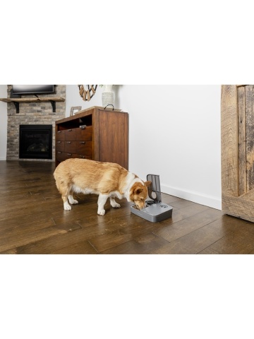 Dispenser automat hrana PetSafe - 2 mese - Img 5