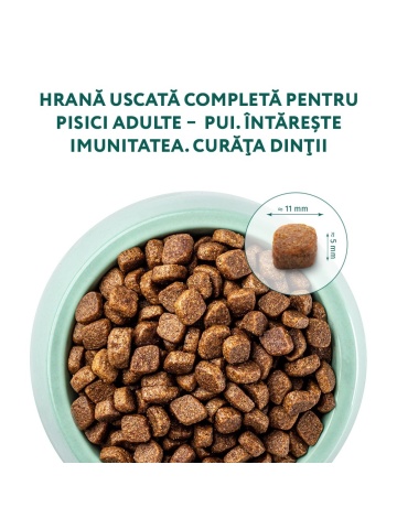 Optimeal Cat - Hrana uscata super-premium - Pui - 700g - Img 3