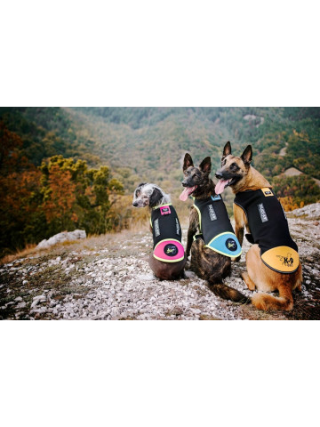 Vesta neopren Julius K9 - 2XS - Roz - Img 2
