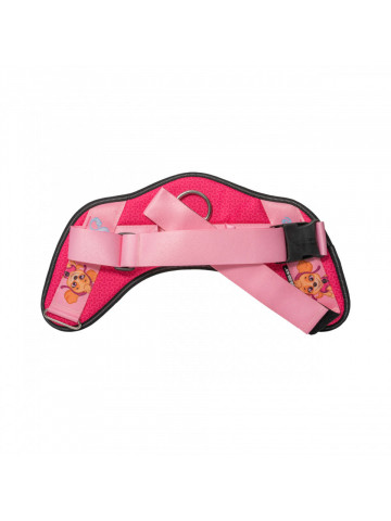 Ham JK9 IDC Power PAW Patrol - XL - Skye - Img 2