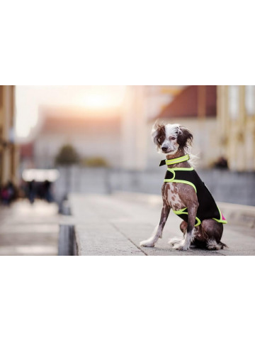 Vesta neopren Julius K9 - 2XS - Roz - Img 3
