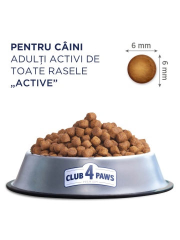 Club 4 Paws Active Adult All Breeds - Hrana uscata premium - Pui - 14kg - Img 2