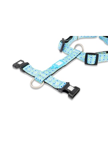 Ham Max & Molly - S - Retro Blue - Img 3