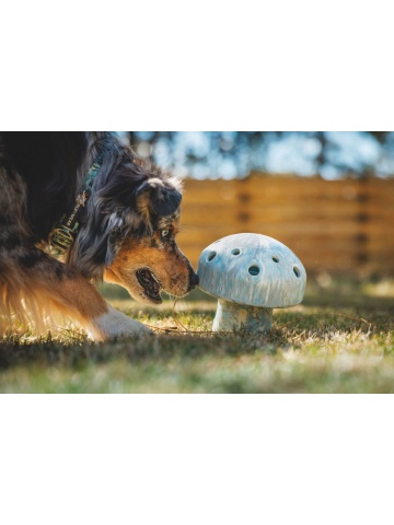 Jucarie Ruffwear Porcini - Gray Sky