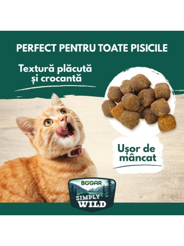 Recompense pentru pisici - Bogar Simply Wild - Rata - 60 g - Img 3