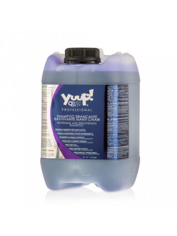 Sampon Yuup Professional White - 5L