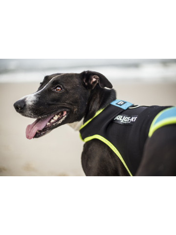 Vesta neopren Julius K9 - M - Aquamarine