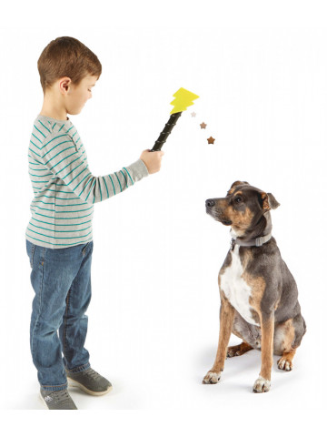 Dispenser recompense - Magic Wand - Img 3