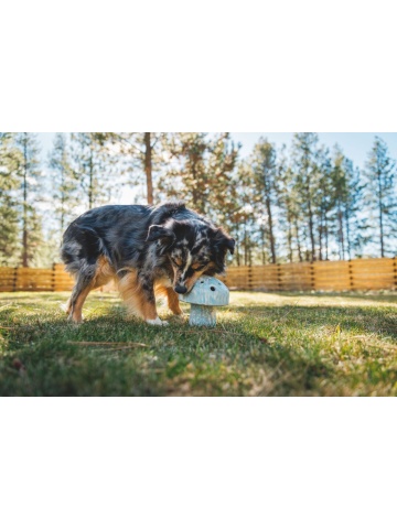 Jucarie Ruffwear Porcini - Gray Sky - Img 2
