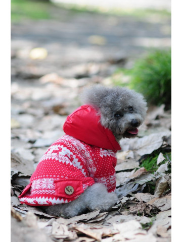 Pulover cu gluga - Ande - XS