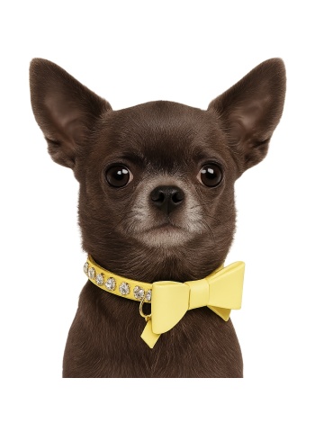 Zgarda Lizzy Plus - 25cm - Galben