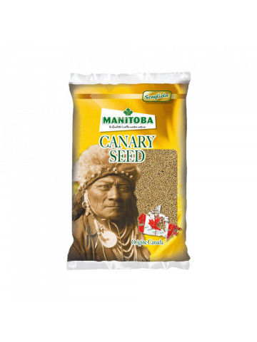 Manitoba Scagliola - Canary Seed - Seminte Falaris - 5kg