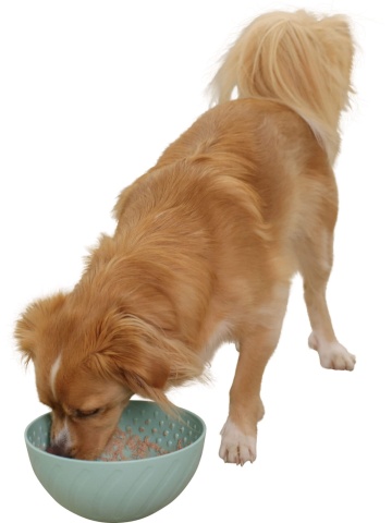 Castron hranire lenta Lick Bowl - Img 5
