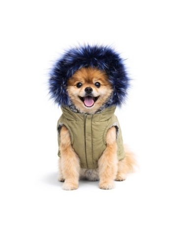 Geaca Anorak - S - Img 4