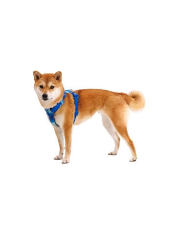 Ham Front Range Ruffwear - L-XL - Coastal Mountains - Img 2