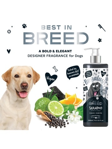Sampon Bugalugs Best in Breed - 250 ml - Img 3