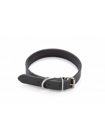 Zgarda piele DogTech - 40mmx75cm