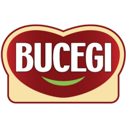 Bucegi