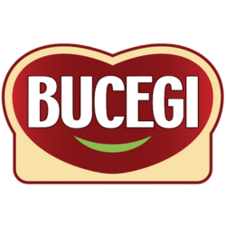 Bucegi