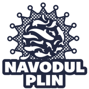 Navodul Plin