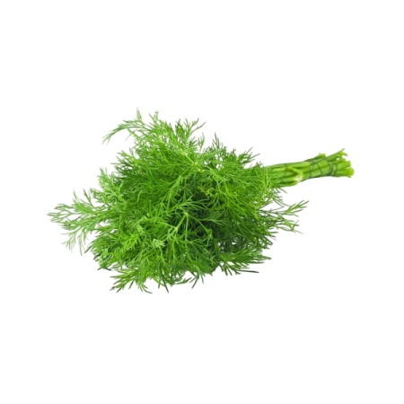 LEGUME MARAR VERDE (10 LEG)