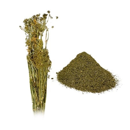 LEGUME MARAR USCAT (1 LEG)
