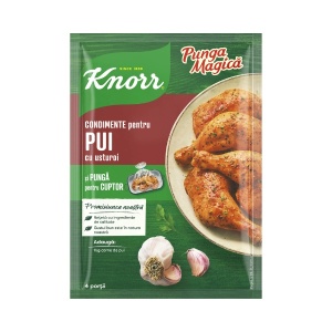KNORR PUNGA MAGICA PUI CU USTUROI 28G (20)