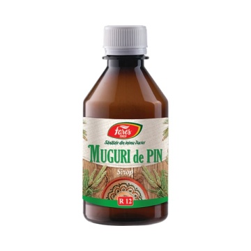 FARES SCIROPPO MUGURI PIN 250ml (20)