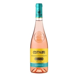 VIN COTNARI BUSUIOACA DE BOHOTIN DD 750ML (6)