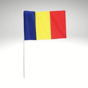 STEAG CU BAT ROMANIA 45X28CM