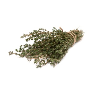 CIMBRU USCAT (10pz)