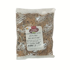 TAKE CONDIMENTE PENTRU MURATURI 300g (7)