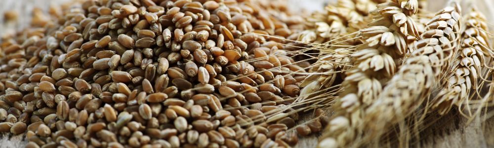 14 alimente sănătoase din cereale integrale (inclusiv opțiuni fără gluten)