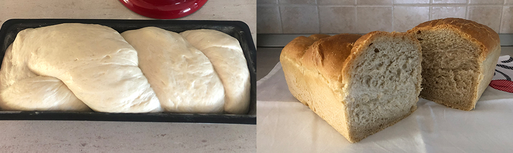 Paine de casa